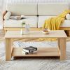 Modern Colored Double Layered Rectangular Coffee Table