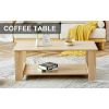 Modern Colored Double Layered Rectangular Coffee Table