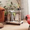 Luxury Modern Rolling 2-Tier Bar Cart for Serving