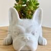 Cute 1pc Mini Resin French Bulldog Flower Vase