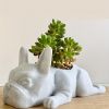 Cute 1pc Mini Resin French Bulldog Flower Vase