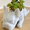 Cute 1pc Mini Resin French Bulldog Flower Vase