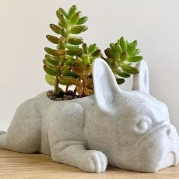 Cute 1pc Mini Resin French Bulldog Flower Vase