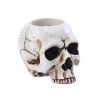 Antique Halloween Skull Tealight Candle Holder