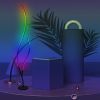 Modern  RGB Ripple Floor Lamp w/ Remote Control