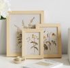 Classic Natural Wooden Picture Frames with Plexiglass