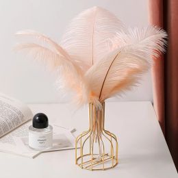 Stylish Nordic-Style Iron Vase for Dried Flowers (Black / Gold) (Color: Pink)