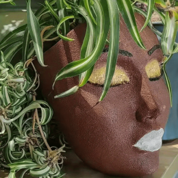Unique Resin Face Planter Pot (Color: Brown Face Vase)