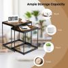 Modern Classic Yet Simpler Nesting Coffee Tables (Set of 2)